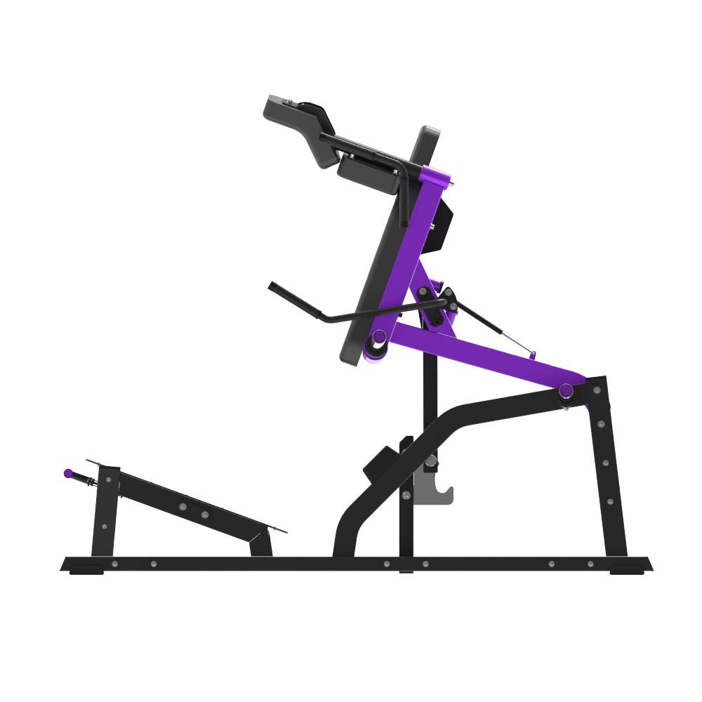 INSIGHT FITNESS - CHINA'S LEADING FITNESS EQUIPMENT INNOVATOR