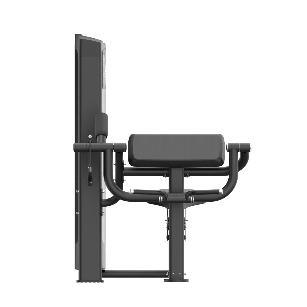 INSIGHT FITNESS - CHINA'S LEADING FITNESS EQUIPMENT INNOVATOR