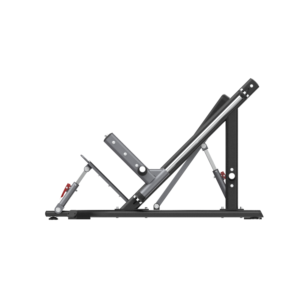 INSIGHT FITNESS - CHINA'S LEADING FITNESS EQUIPMENT INNOVATOR