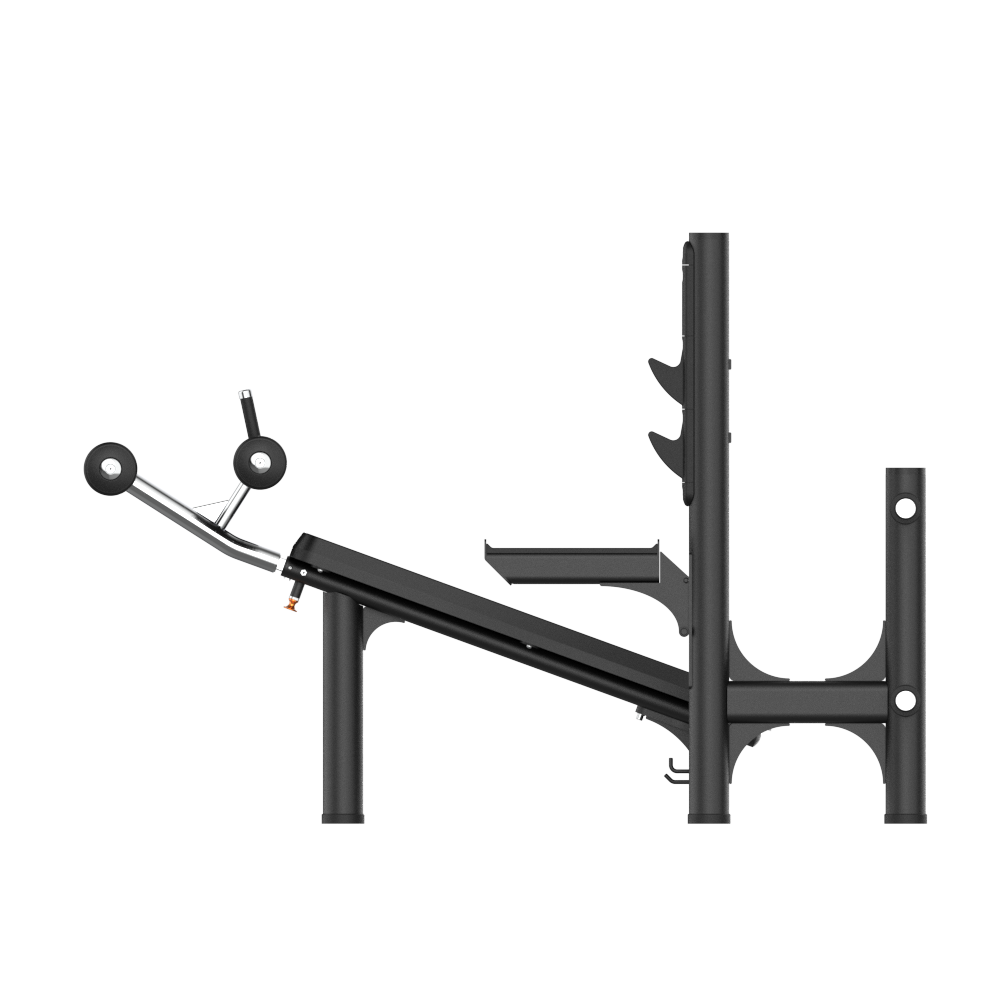 INSIGHT FITNESS - CHINA'S LEADING FITNESS EQUIPMENT INNOVATOR