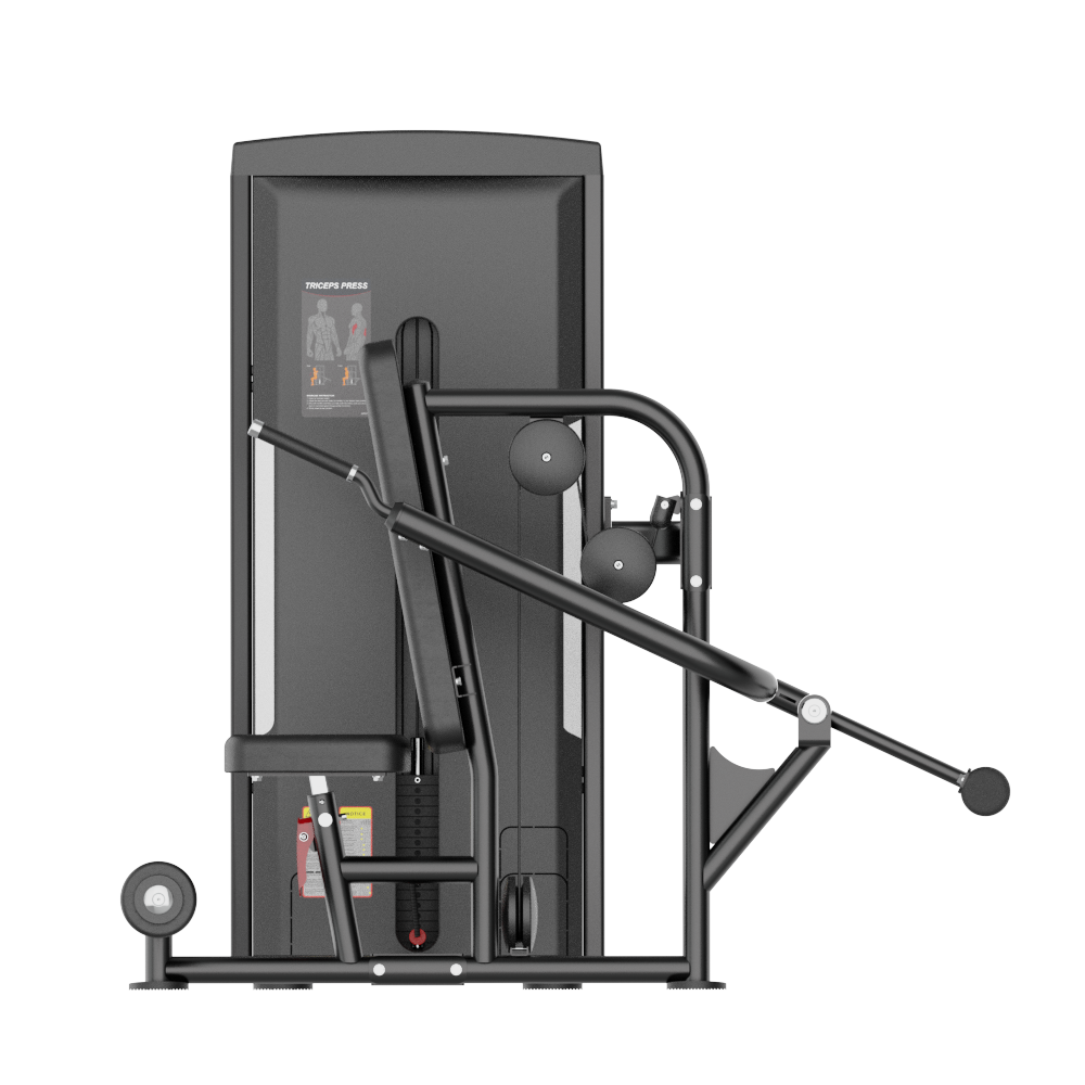 INSIGHT FITNESS - CHINA'S LEADING FITNESS EQUIPMENT INNOVATOR