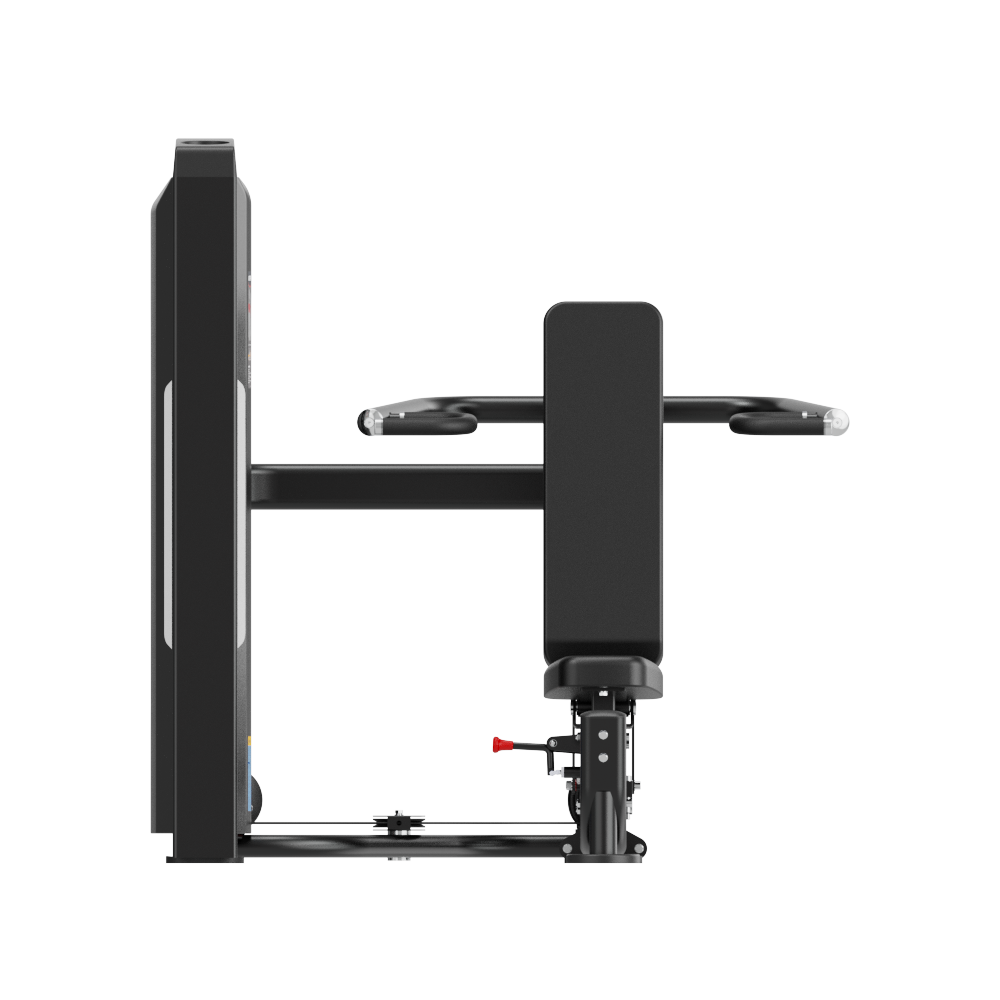 INSIGHT FITNESS - CHINA'S LEADING FITNESS EQUIPMENT INNOVATOR
