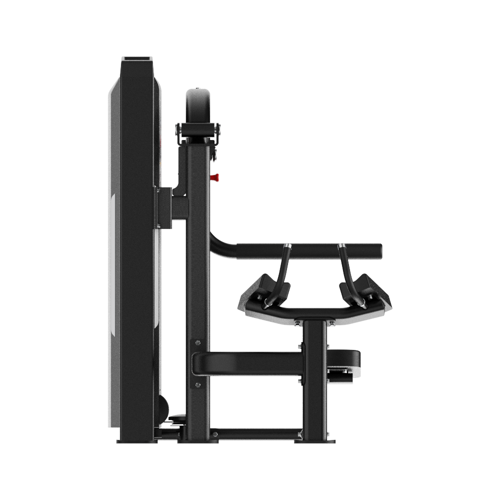 INSIGHT FITNESS - CHINA'S LEADING FITNESS EQUIPMENT INNOVATOR