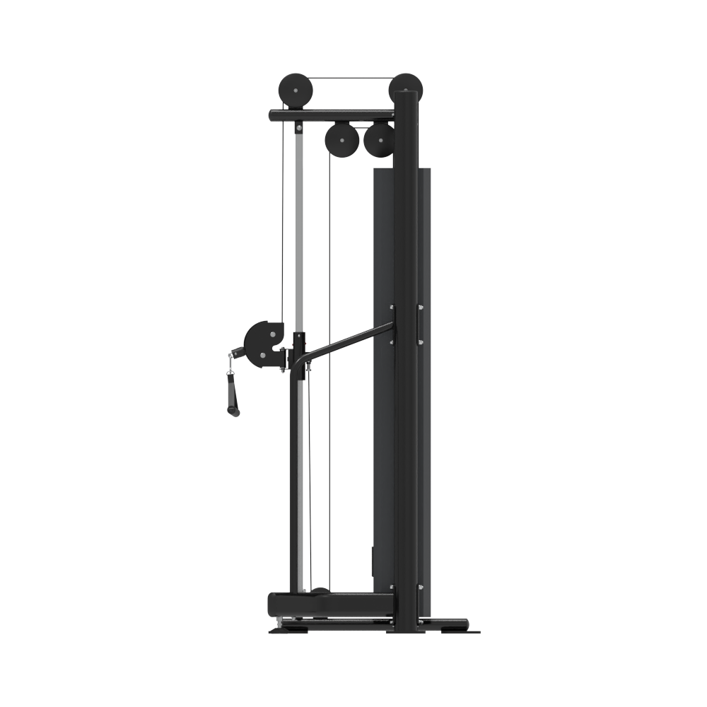 INSIGHT FITNESS - CHINA'S LEADING FITNESS EQUIPMENT INNOVATOR
